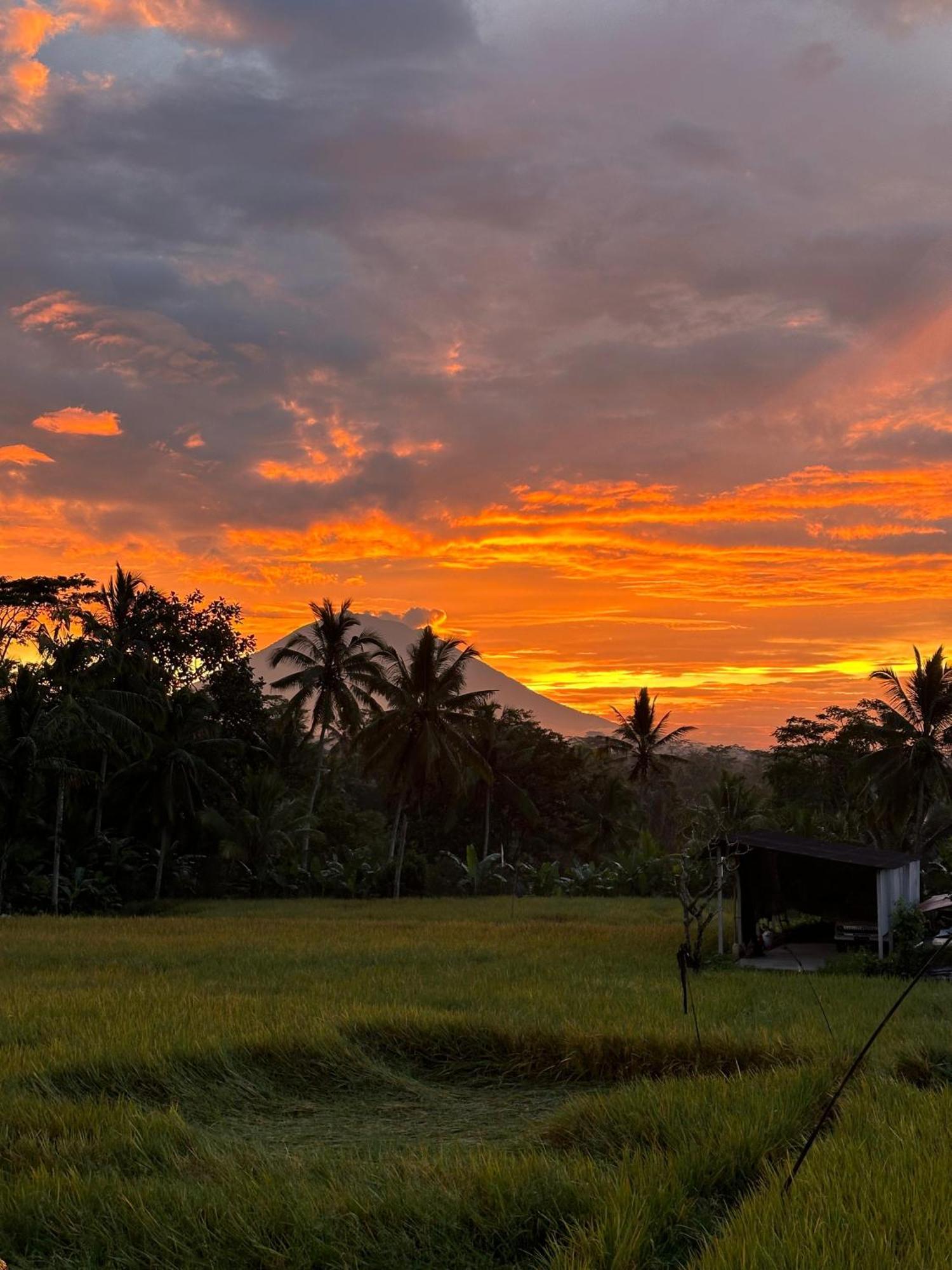 Aditara Sebatu Villa อูบุด ภายนอก รูปภาพ